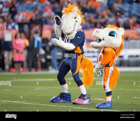 Broncos Mascot, Thunder