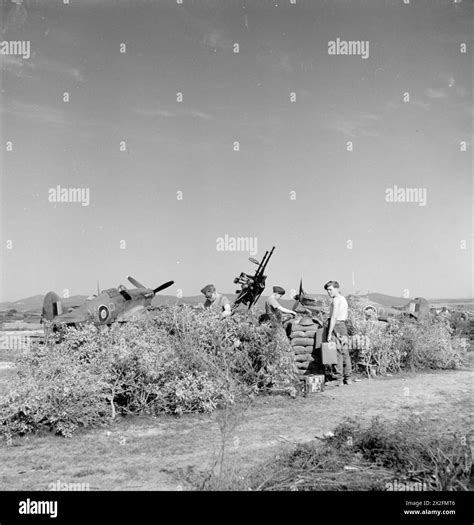 Browning machine gun in North Africa