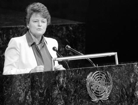 Understanding sustainable development through the Brundtland Commission