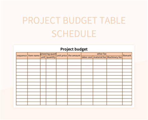 Budget and Schedule