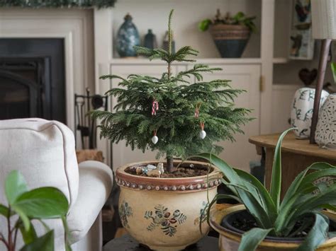 Budget-Friendly Christmas Decorations