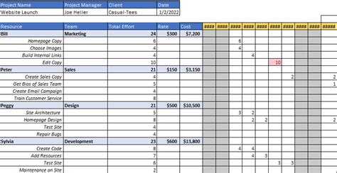 Budget and Resource Plan