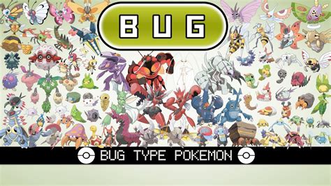 Dr. Lily's Bug-type Pokémon Team