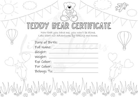 Build A Bear Certificate Template 5