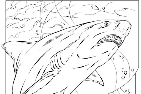 Bull Shark Coloring Page