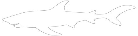 Bull Shark Outline