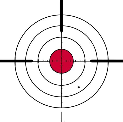 Bullseye Target