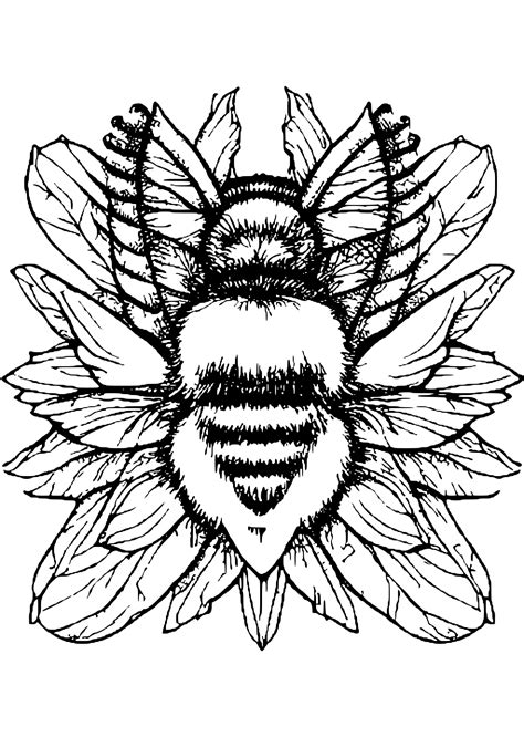 Bumble Bee Coloring Page