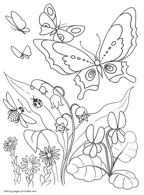 Bumblebee and butterfly coloring page