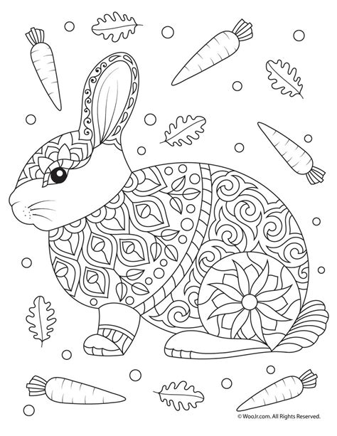 Bunny Coloring Pages for Adults