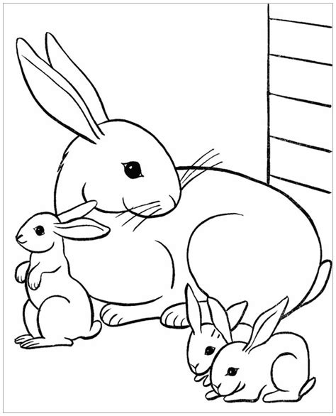 Bunny Coloring Pages with Markers