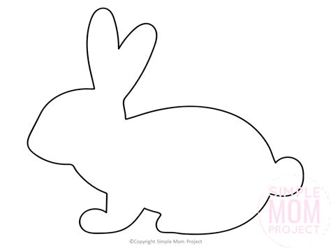 Bunny Template Free