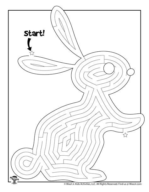 Bunny Track Maze