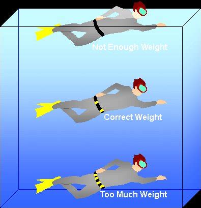 Buoyancy weights for diving