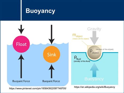 Buoyant personality