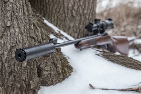 500 Bushwhacker Rifle Hunting