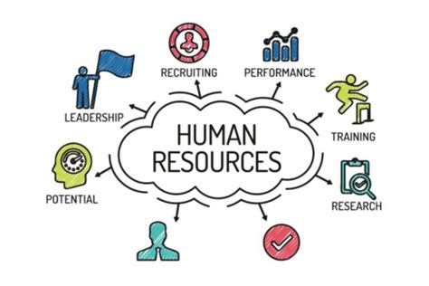 Business Administration Human Resources Skills