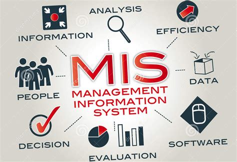 Business Careers Management Information Systems