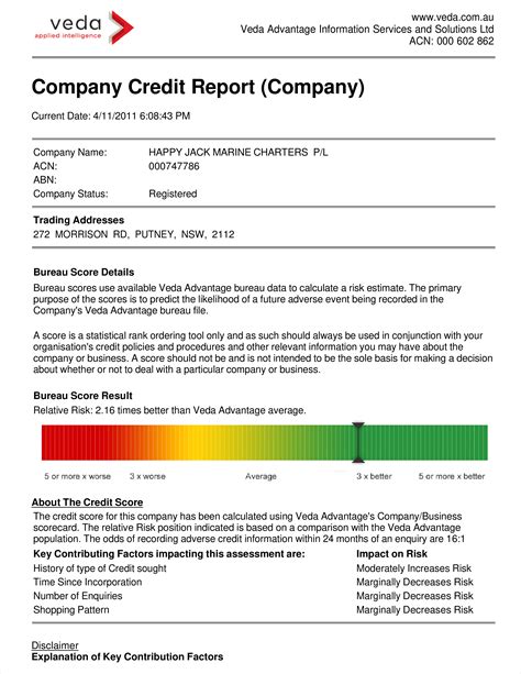 Business Credit Report Template