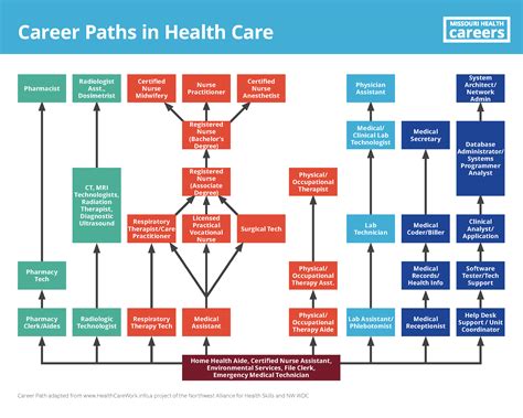 Business Degree Career Path