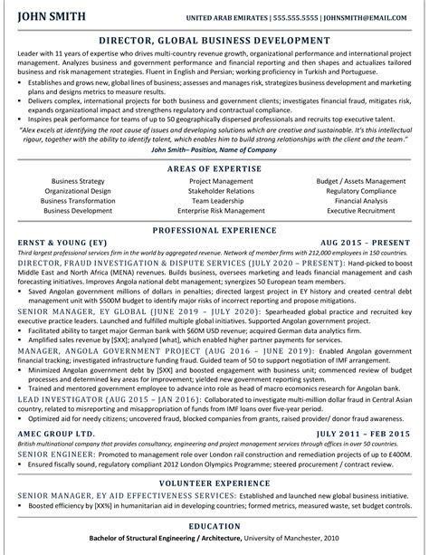 Business Development Director Resume Template Example