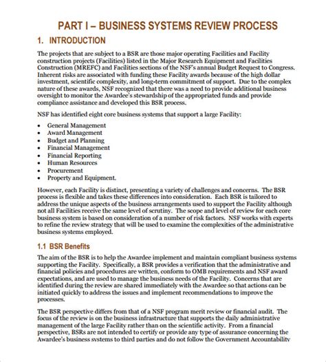 Business Review Template Example 4