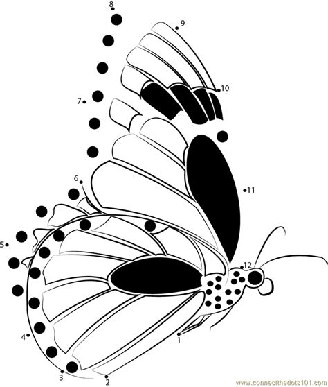 Butterfly Dot to Dot