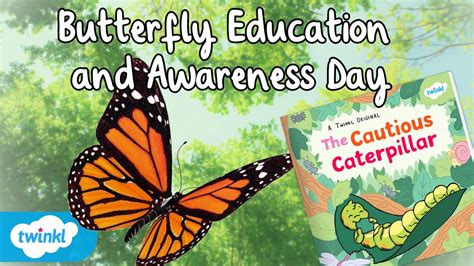 Butterfly education and learning