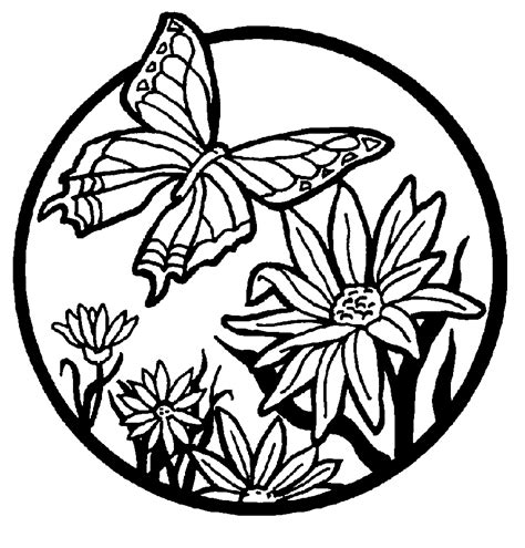 Butterfly habitat coloring page