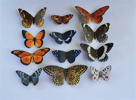 Butterfly Magnet Pattern