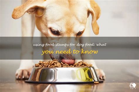 Buy Dog Food with Food Stamps