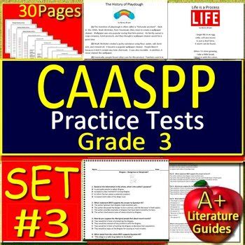 CAASPP English Practice Test