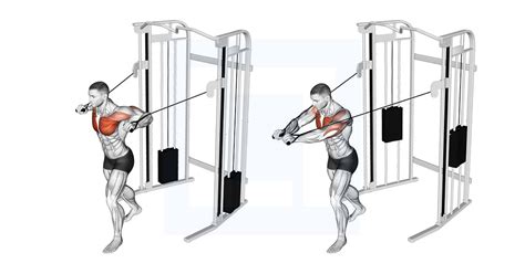 Cable chest press exercise