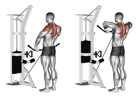 Cable gym exercises gallery image 10