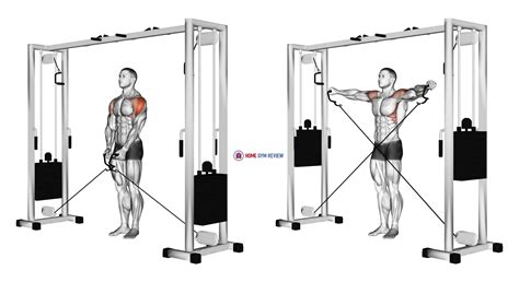 Cable lateral raise exercise gallery image 3