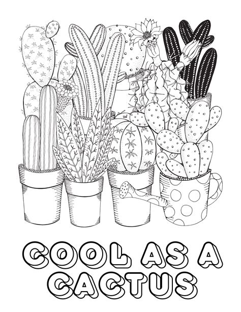 Cactus coloring pages for adults