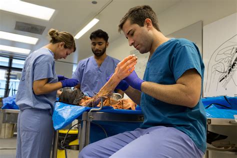 Image of cadaver human research