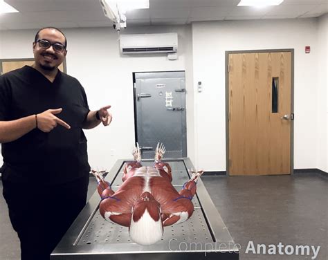 Cadaver humans in a medical lab