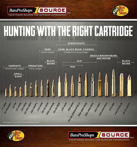 Caliber Measurement