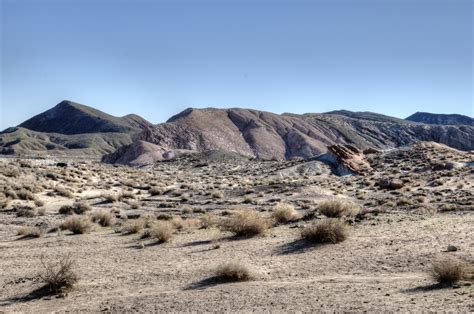 California Desert Landscape