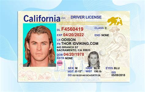 California Driver License Template PSD Gallery 3