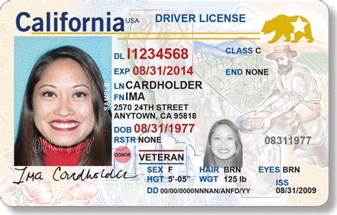 California Drivers License Check