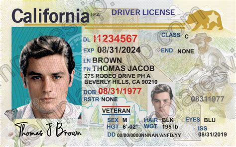 California Drivers License Template 1