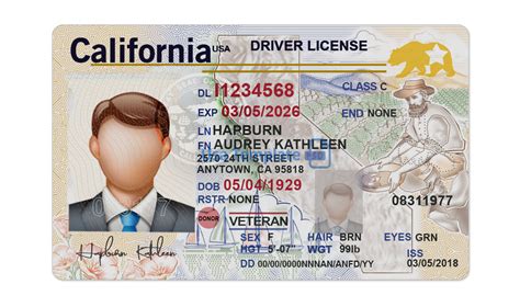 California ID Template in Photoshop