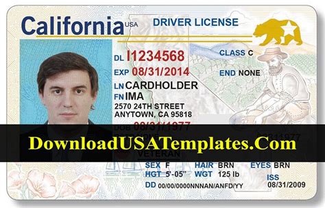 California ID Template 7