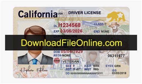 California Temporary ID Template