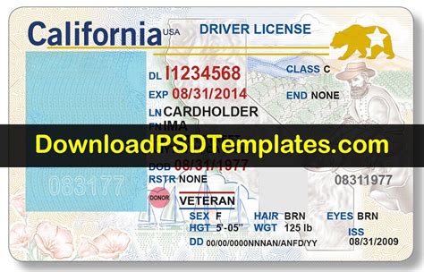 California Temporary ID Template Color