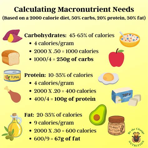 Calories and Macronutrients Breakdown