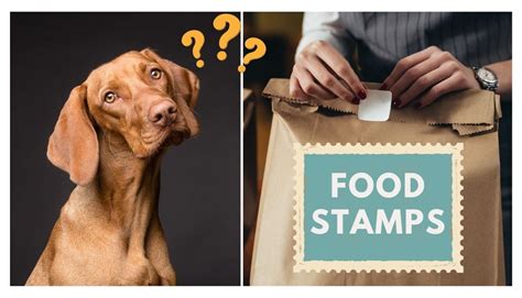 Can You Buy Dog Food With Food Stamps Explained