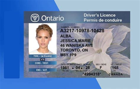 Canadian Drivers Licence Template